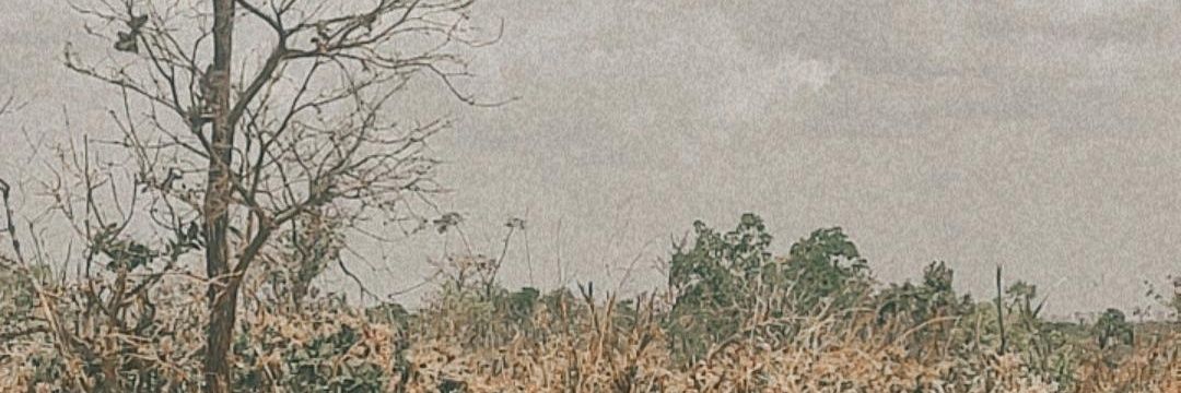 khalil_lessa's profile banner image