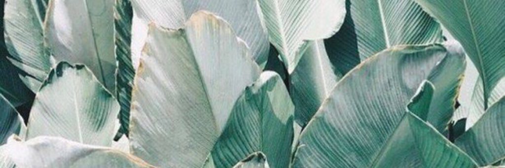 steephszeto's profile banner image