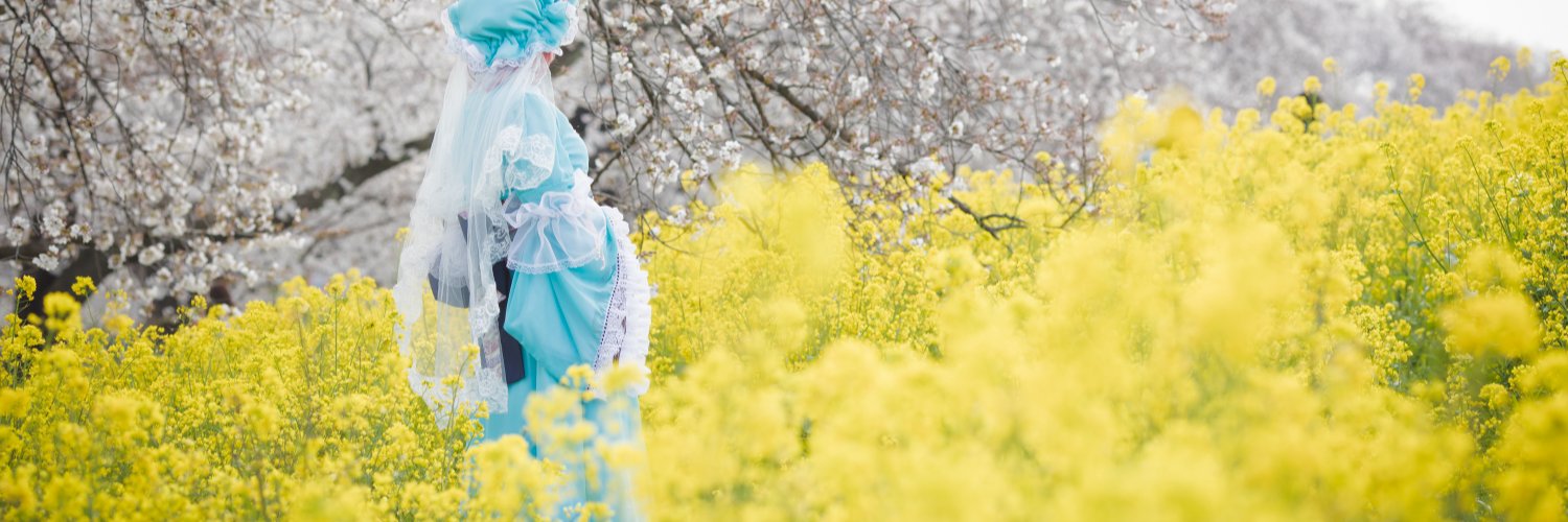 せる💚❤️💜🩵タブナイありがとう💚❤️💜🩵 banner