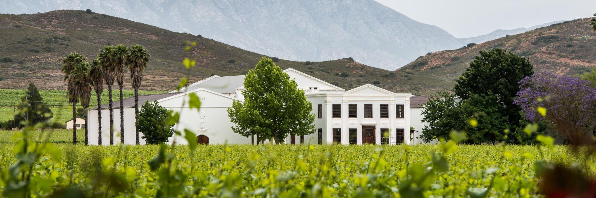 DeWetshofWines's profile banner image