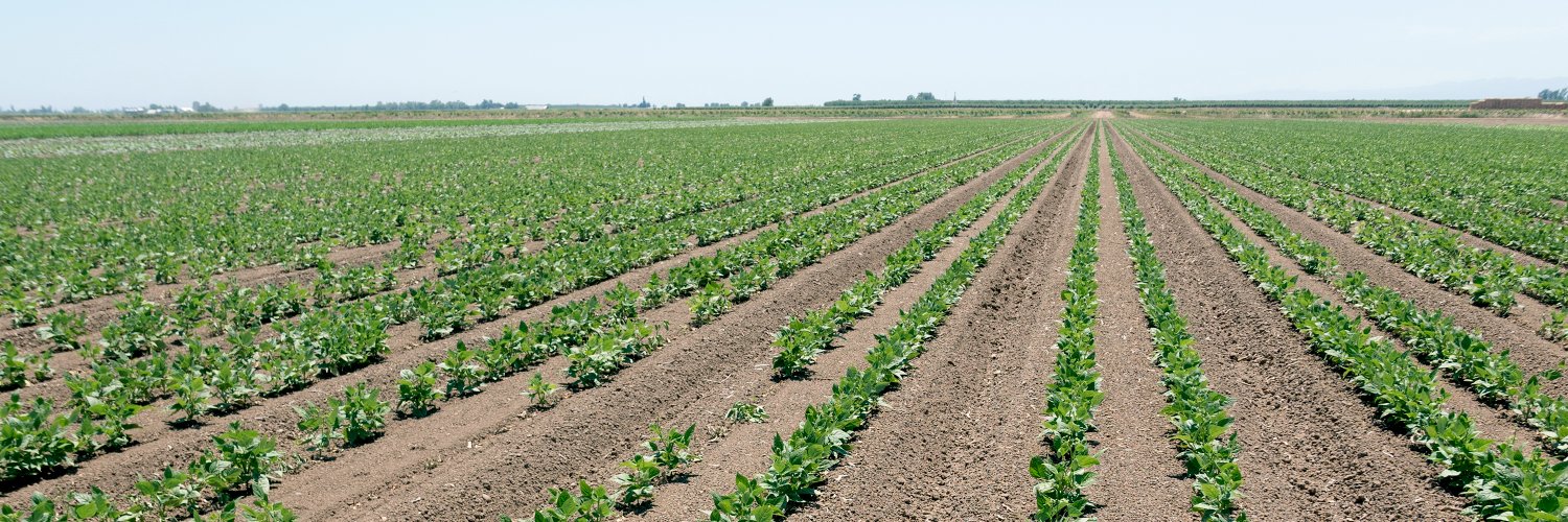 SeedsbyDesign banner