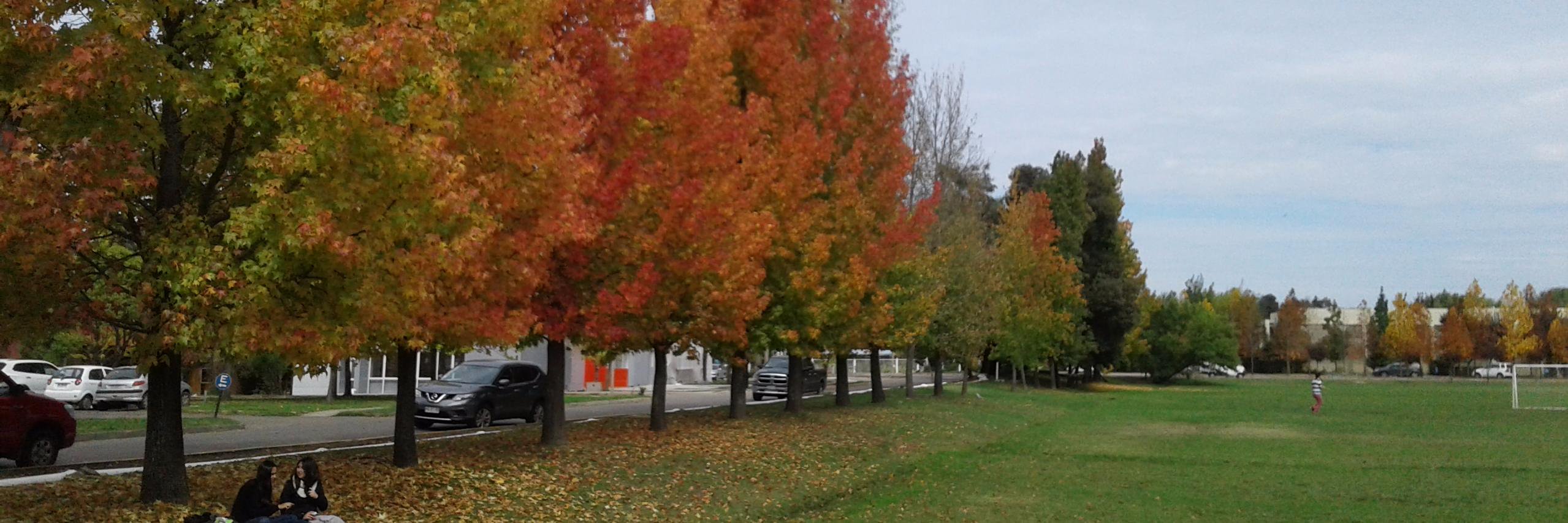 LAYS_Talca's profile banner image