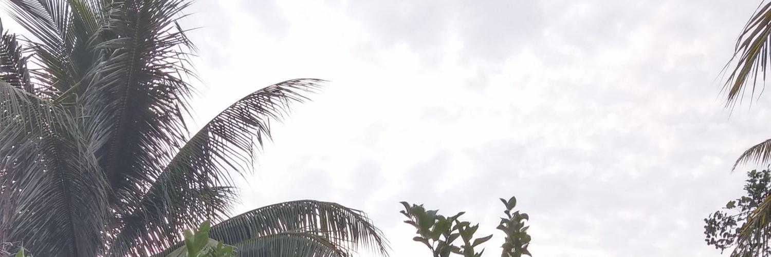 fauziani7's profile banner image