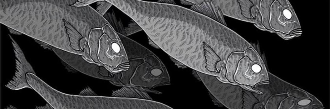 AEnimals's profile banner image