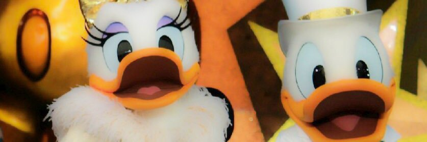 eri_Donald_love's profile banner image