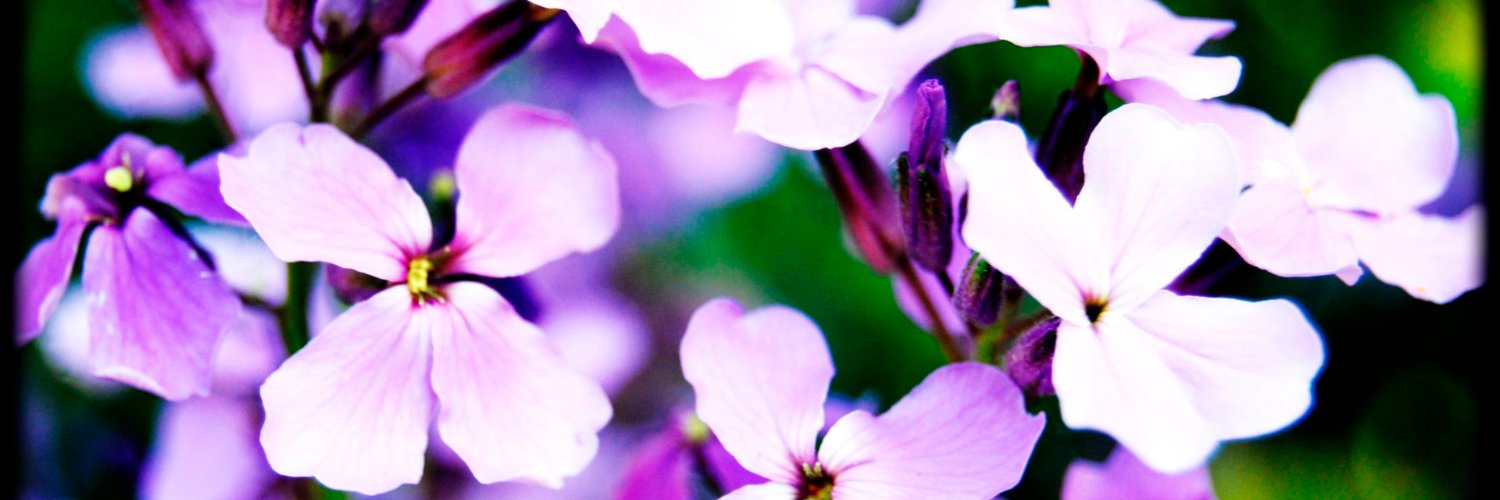 plenge3's profile banner image