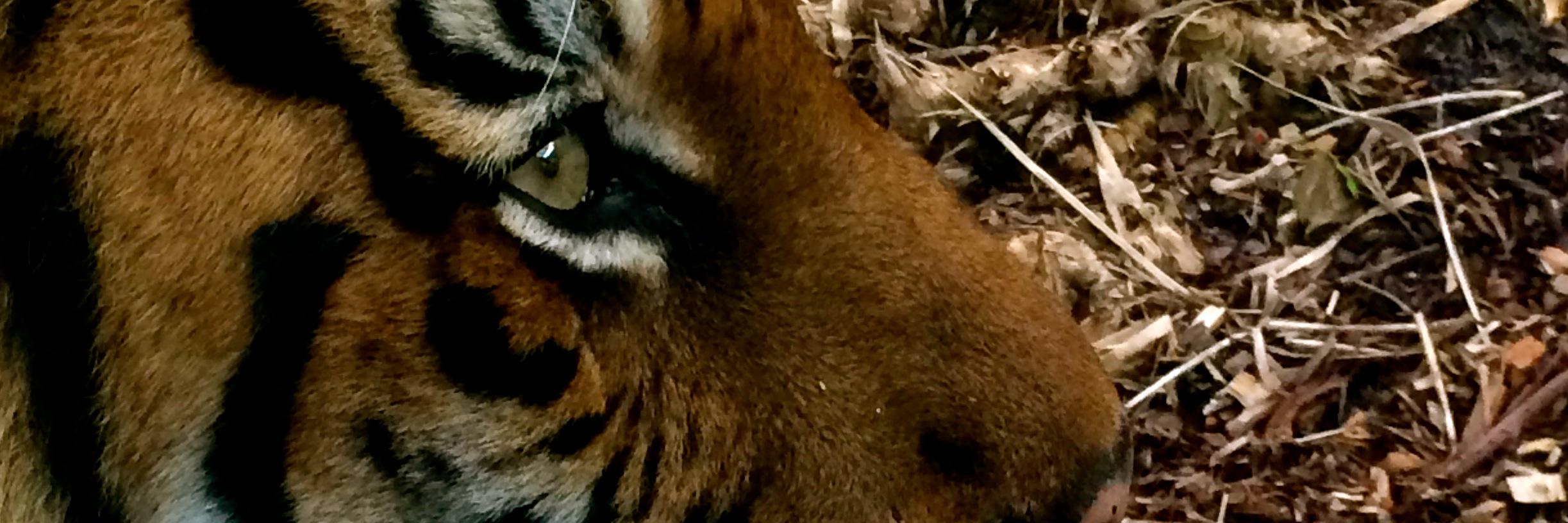 MikeAtNyTe3's profile banner image