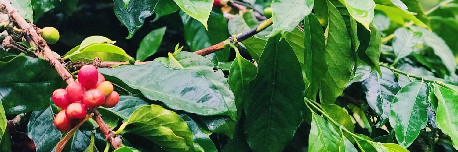 ivaaaaann's profile banner image
