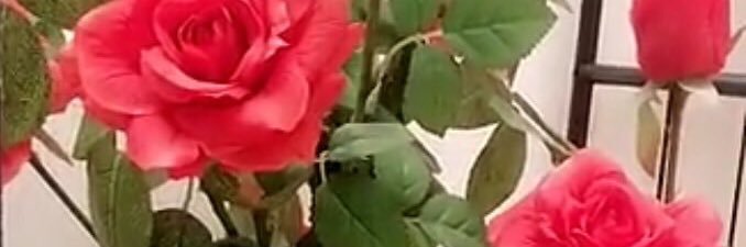 reem0_197's profile banner image