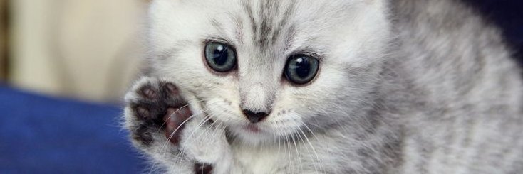 Babie__Kay's profile banner image