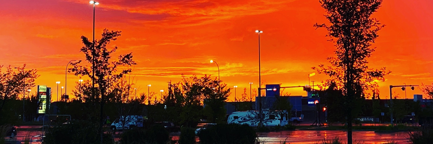 seanryanmorton's profile banner image