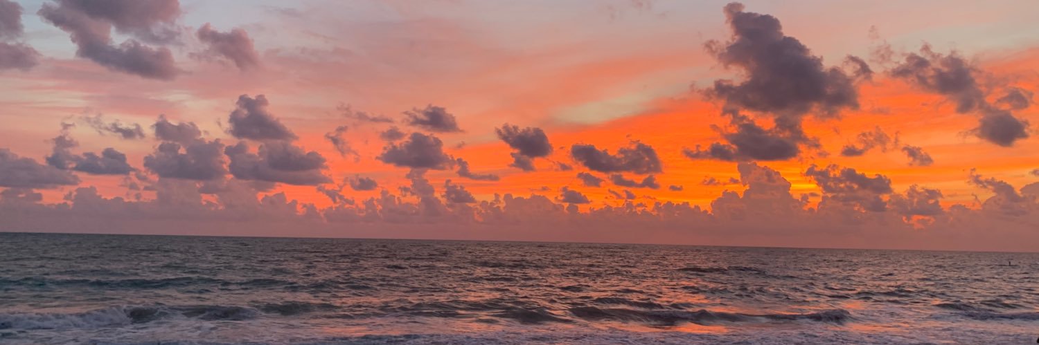 sue_baumgartner's profile banner image