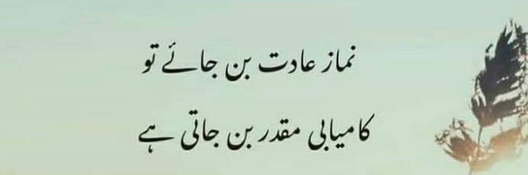 78_Tauseef's profile banner image