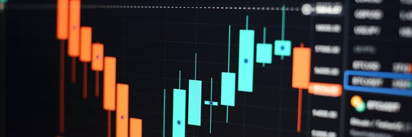 Carl Capolingua banner