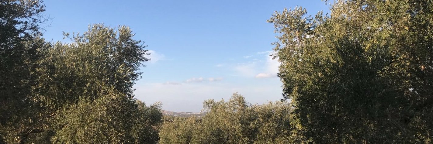 8amliee's profile banner image
