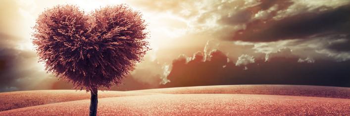 _frizzbe's profile banner image