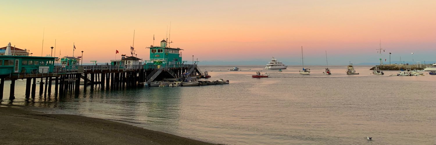 Steve Leonard banner