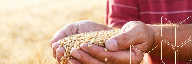 Royal Koopmans banner