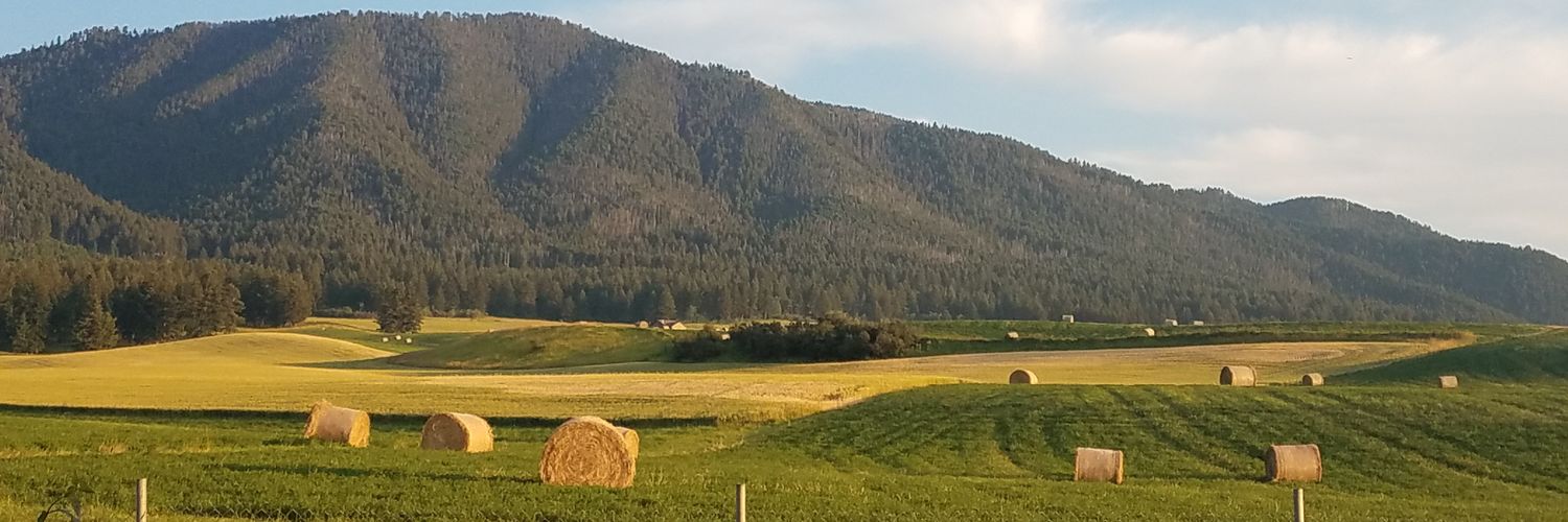 BlakenDerek's profile banner image