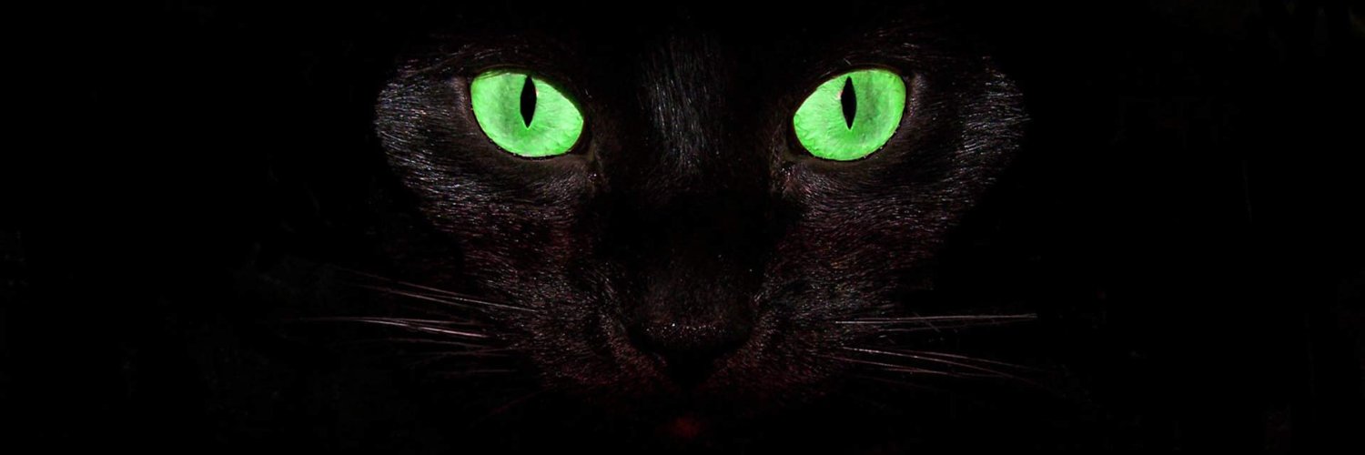 richart_edu's profile banner image