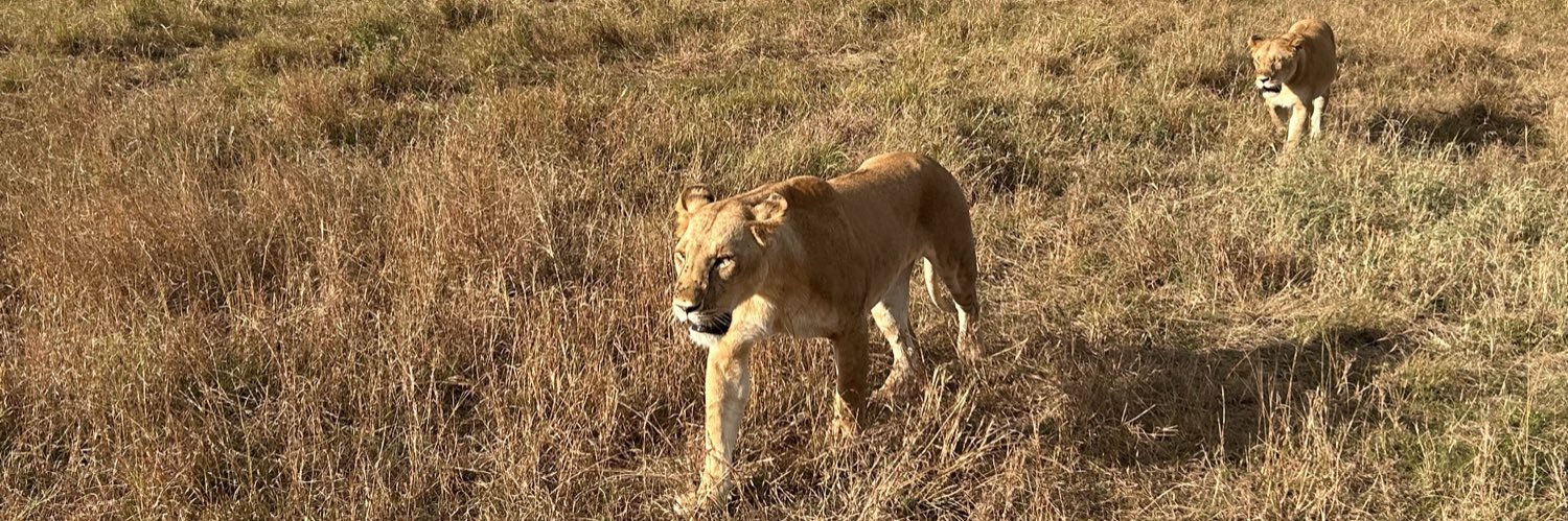 Bucky Goldstein banner