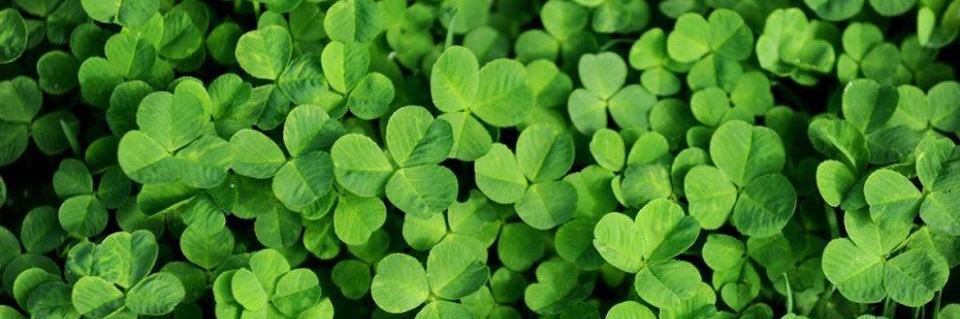 kholood🇰🇼369♉️ banner