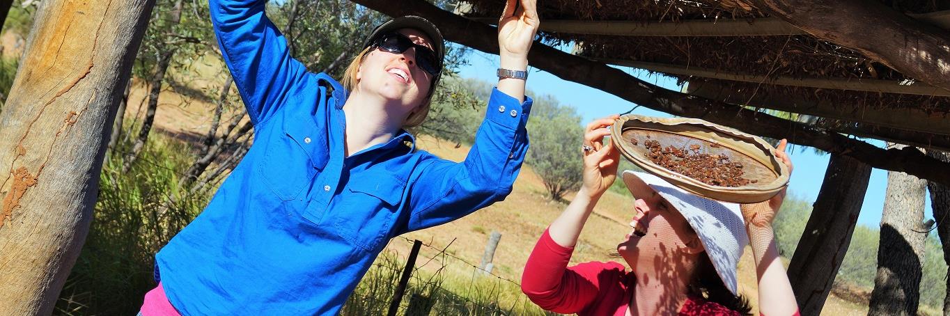 Gemtree Caravan Park banner