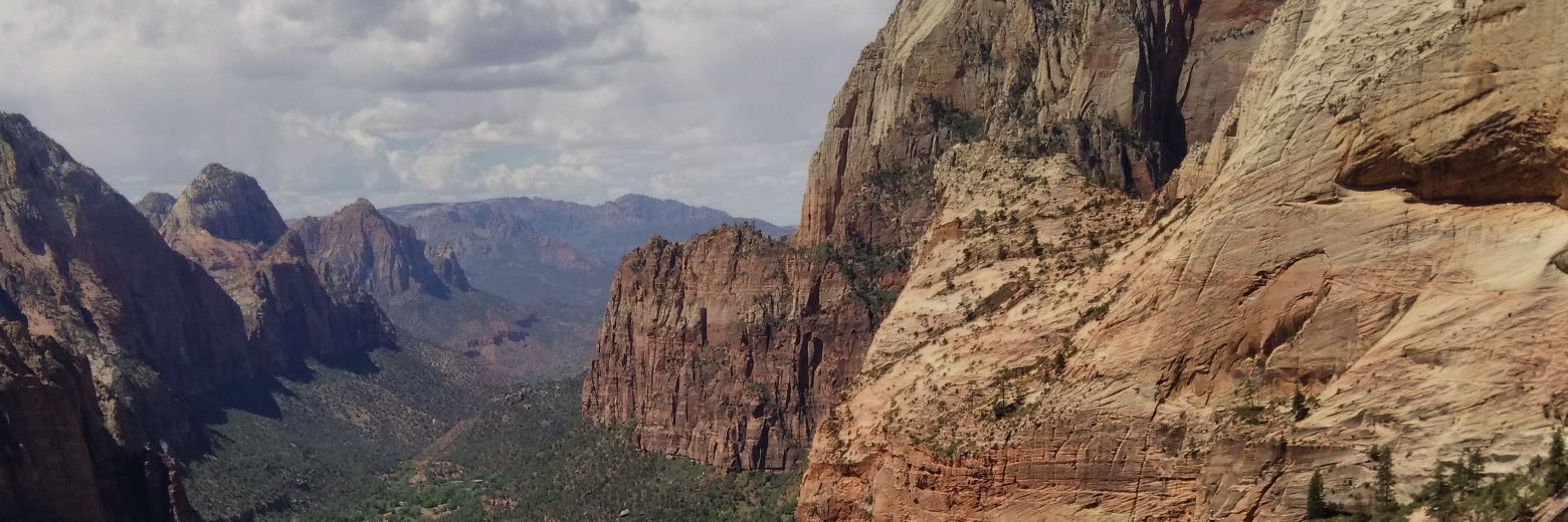 ZachVincent9's profile banner image