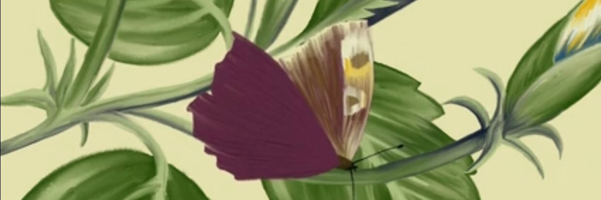 llefn's profile banner image