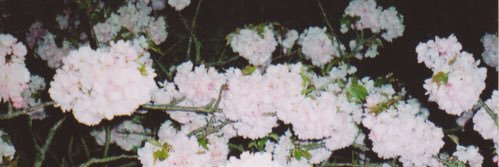 Ovali_D's profile banner image