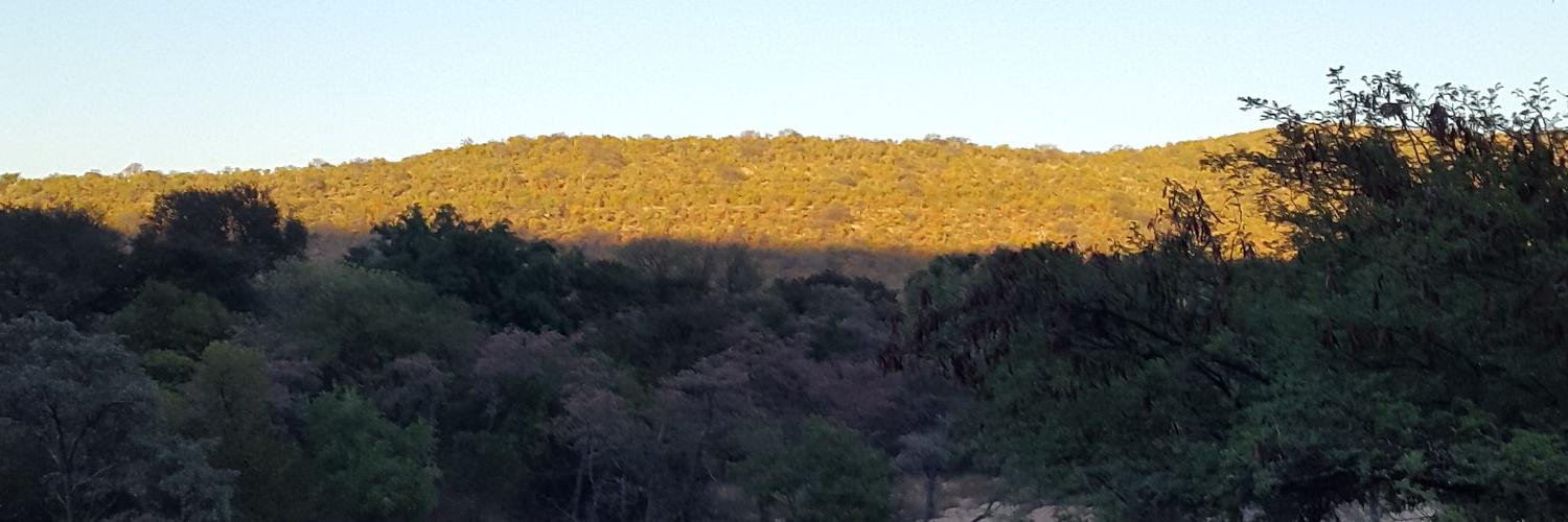 deyselberg's profile banner image