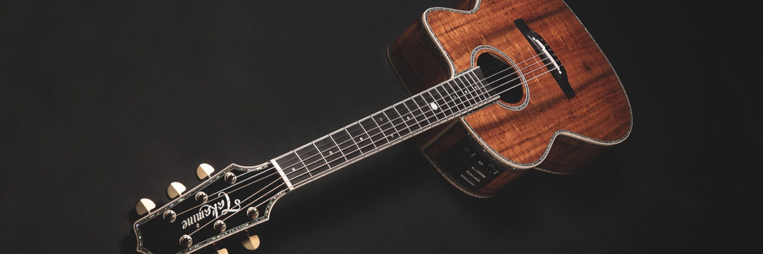 Takamine Guitars UK & Ireland 🇬🇧🇮🇪 banner