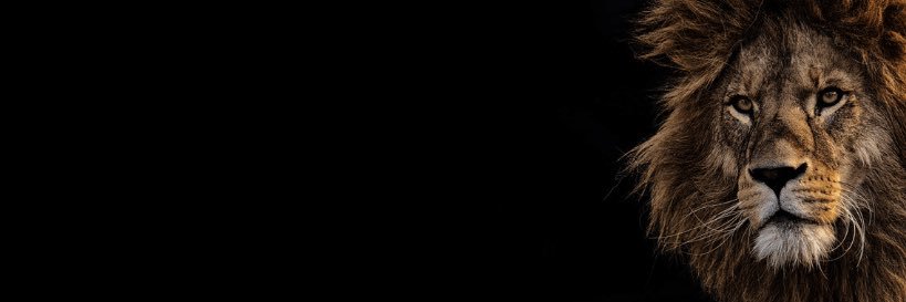 AlexG_12's profile banner image