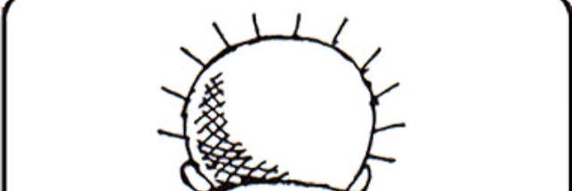 jewaiah's profile banner image