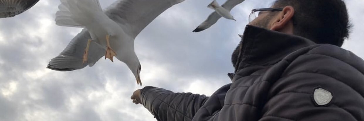 serdartuncu's profile banner image