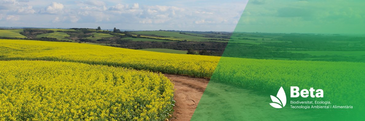 Sergio Ponsá Salas banner