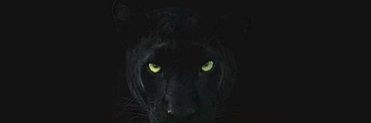 kinabo_charles's profile banner image