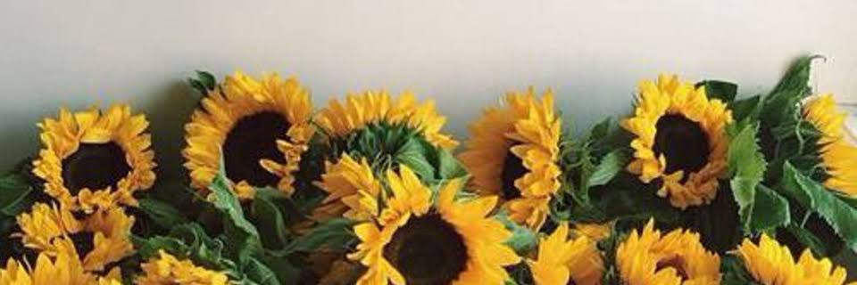 LaydianeSilva8's profile banner image