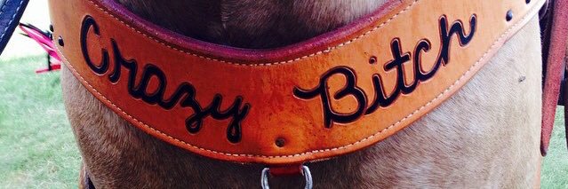 MeKayla_Bainter's profile banner image