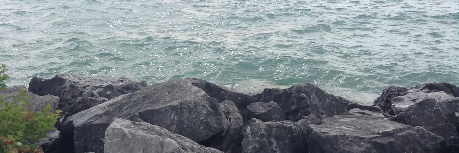 rachelogreen's profile banner image