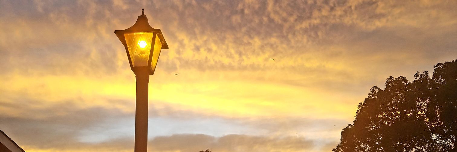 Relevan_T's profile banner image