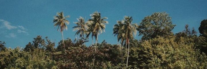 atikanaf's profile banner image