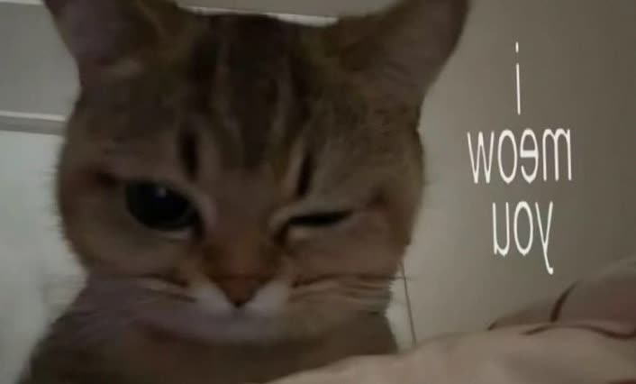 viccandyyr9br's profile banner image