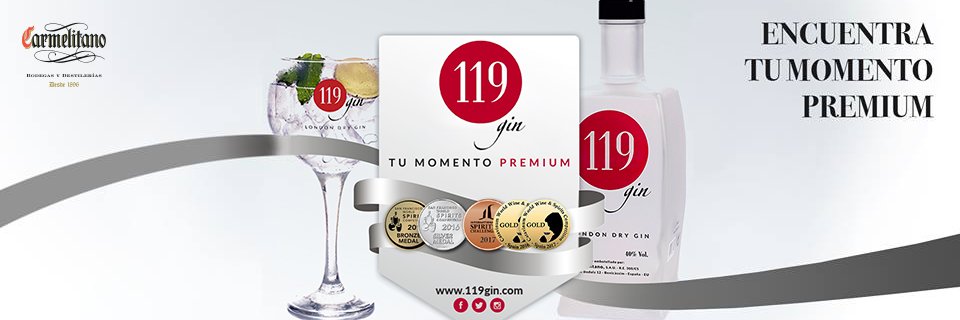 119gin's profile banner image
