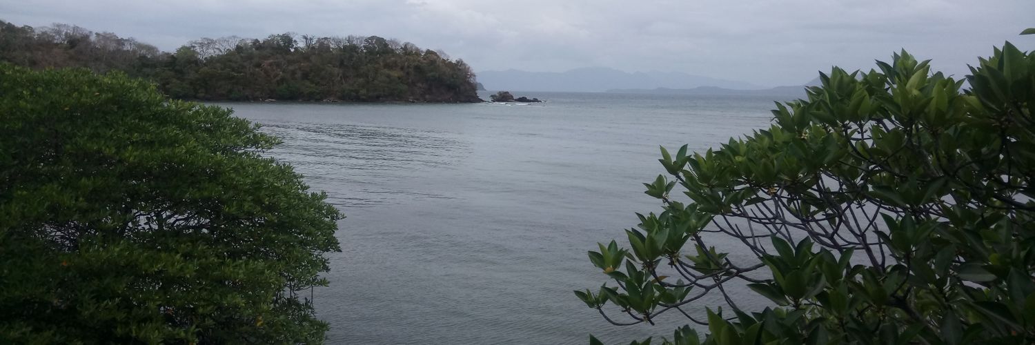FebaiRamos's profile banner image