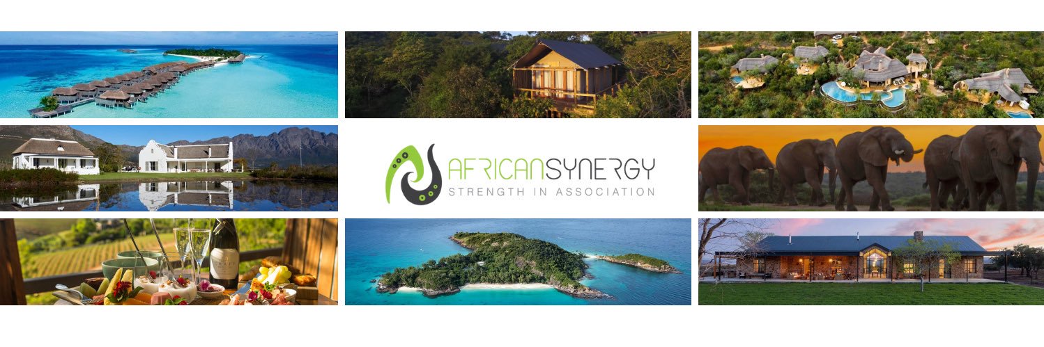 African Synergy banner