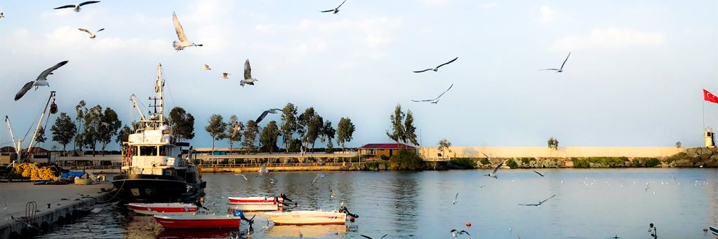 muhammet_sevim's profile banner image