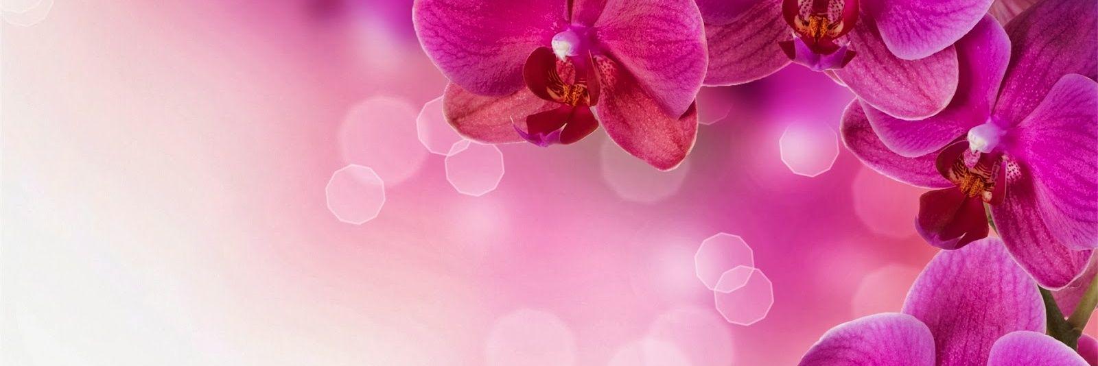 indanafiyah's profile banner image