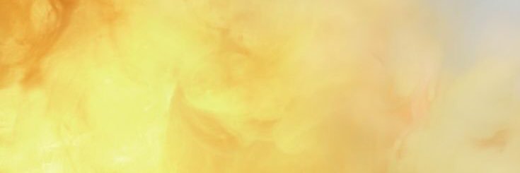 andreavbeusekom's profile banner image