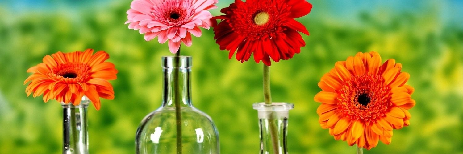 den_rianne's profile banner image